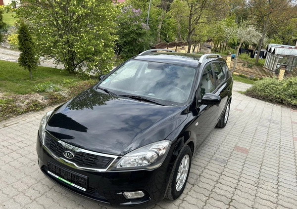 Kia Ceed cena 17900 przebieg: 217000, rok produkcji 2010 z Strzyżów małe 596